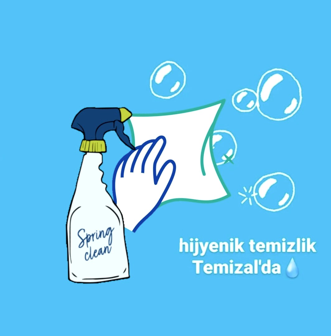 Ev Temizliğinde Kullanılan Kimyasal Maddeler